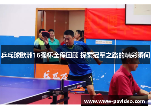 乒乓球欧洲16强杯全程回顾 探索冠军之路的精彩瞬间