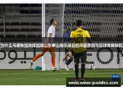为什么马德鲁加选择加盟山东泰山揭示背后的深层原因与足球发展契机