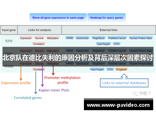 北京队在德比失利的原因分析及背后深层次因素探讨 北京队在德比失利的原因分析及背后深层次因素探讨