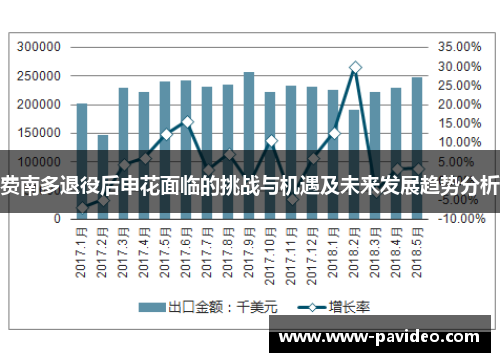 费南多退役后申花面临的挑战与机遇及未来发展趋势分析