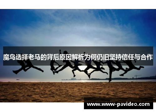 魔鸟选择老马的背后原因解析为何仍旧坚持信任与合作