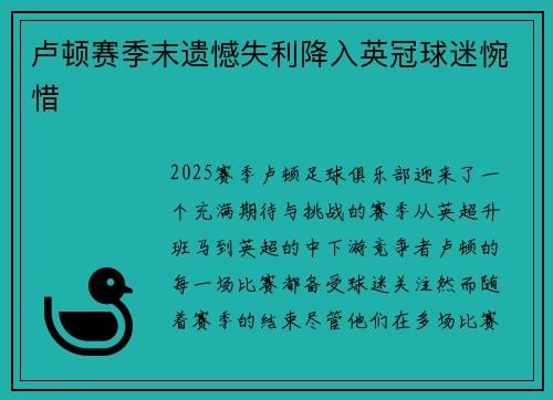 卢顿赛季末遗憾失利降入英冠球迷惋惜