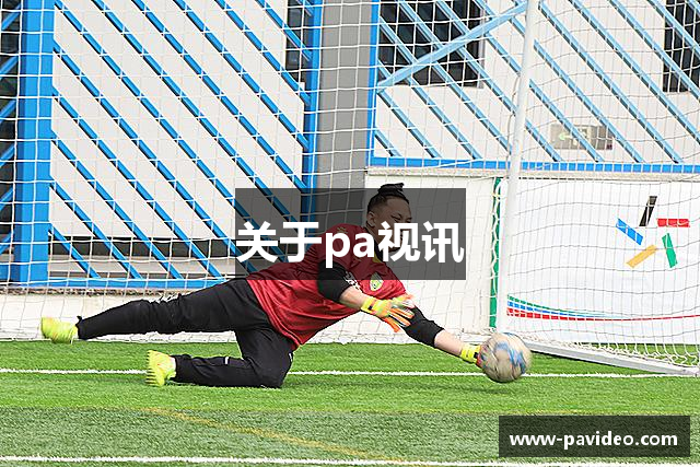 关于pa视讯